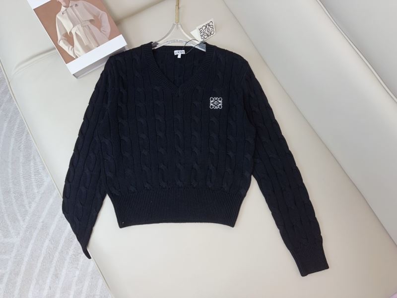 Loewe Sweaters